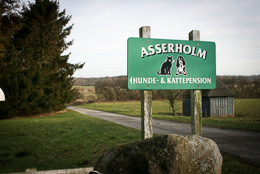 asserholm